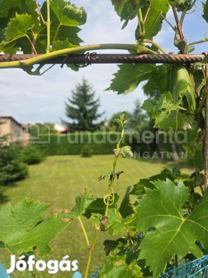 Falusi házikó kiskerttel
