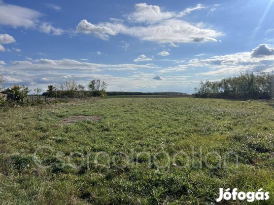 Farád - dupla telek eladó