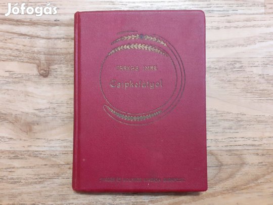 Farkas Imre: Csipkefátyol (1914-es kiadás)