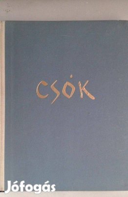 Farkas Zoltán: Csók István, művészet, magyar mesterek