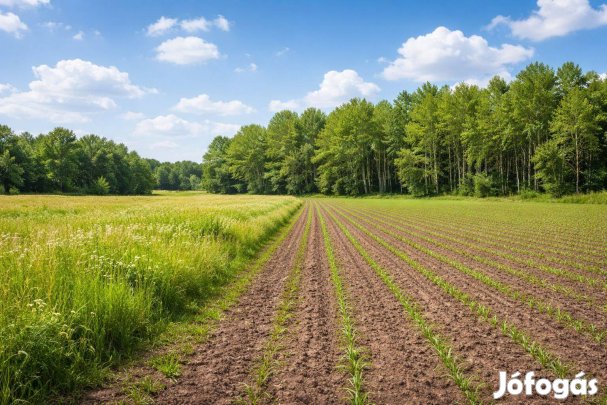Farmos eladó külterületi telek 3054 m