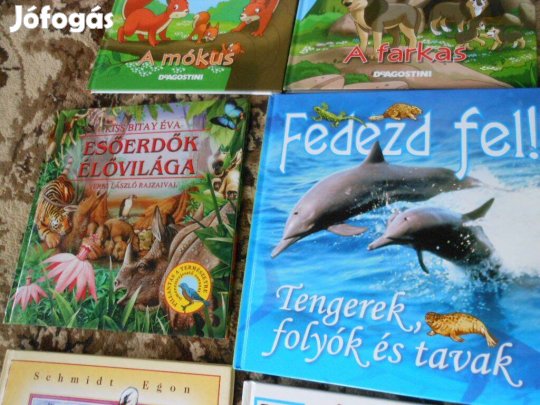 Fedezd fel! - Tengerek, folyók és tavak ismeretterjesztő könyv