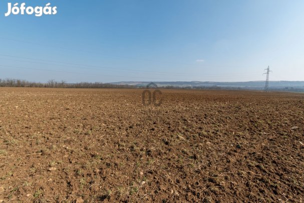 Fedezze fel Isztimér mezőgazdasági kincseit  a jövője itt kezdődik, a