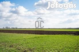Fedezze fel a jövő mezőgazdasági lehetőségét Katymáron  ideális befek