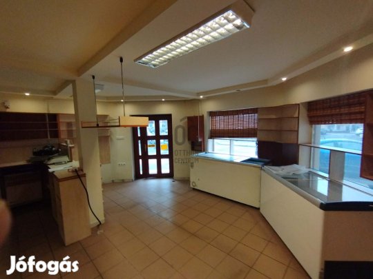 Fedezze fel a lehetőségeket: üzleti ingatlan Dunakeszi szívében, Főút