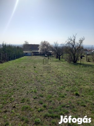 Fedezze fel álmai telkét Fóton  lehetőség a jövőbe, zöld környezetben