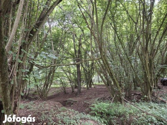 Fedezze fel álmai telkét Gosztolán  a jövője kezdete Zala vármegyében