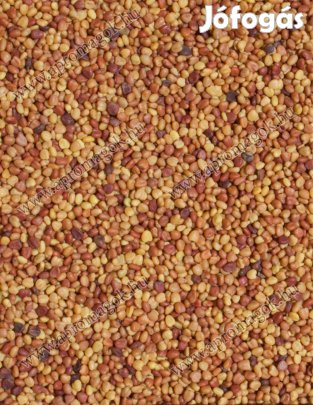 Fehér here, Fémzárolt fehérhere vetőmag eladó postai utánvéttel