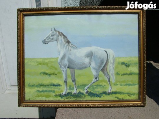 Fehér ló Festmény 44*34 cm 1955 dátumozás