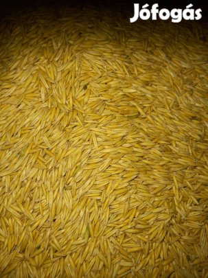 Fehér zab eladó