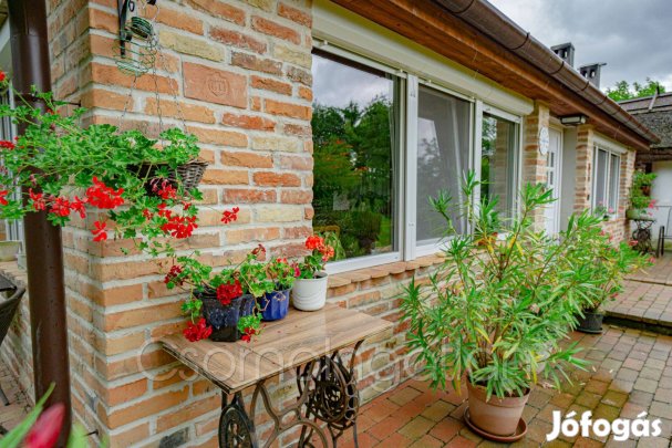 Fehértó - egyedi, lótartásra alkalmas ingatlan eladó