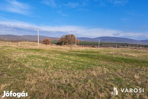 Fejlesztési lehetőség Márkón