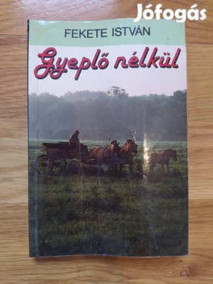 Fekete István: Gyeplő nélkül