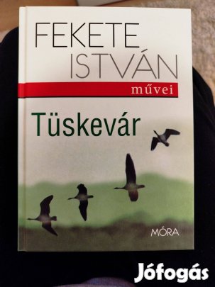 Fekete István: Tüskevár