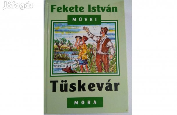 Fekete István: Tüskevár c. könyv eladó!