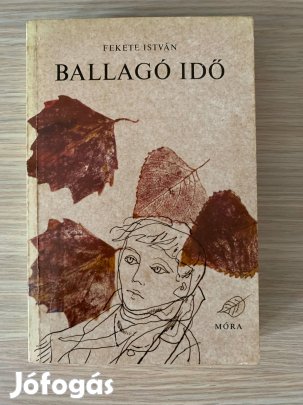 Fekete István - Ballagó idő könyv