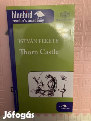Fekete István - Thorn Castle A2
