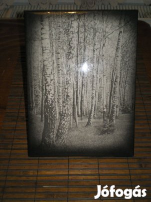 Fekete fehér fotó, falra vagy polcra is tehető