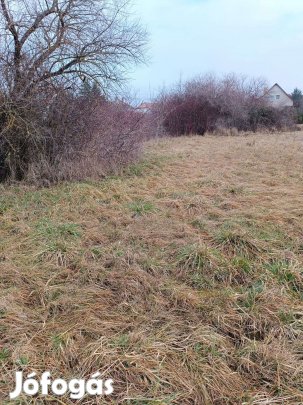Feketehegyen 1400m2-es nyeles telek eladó