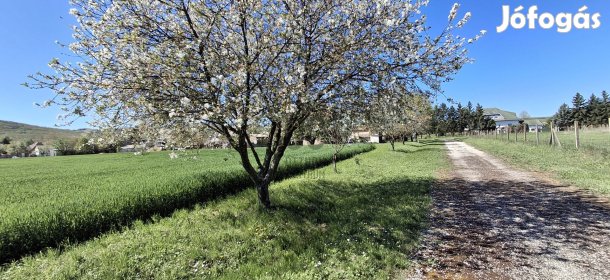 Fektessen be a jövőbe: építse álmai otthonát Baranya szívében, Kistótf