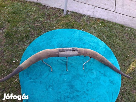 Felakasztható szarv, ruhafogasokkal 4500 forintért eladó