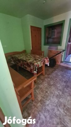 Félhalmi 2. 100 m2-es vízparti téliesített ház