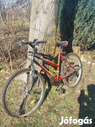 Felnőtt Mountain bike bicikli