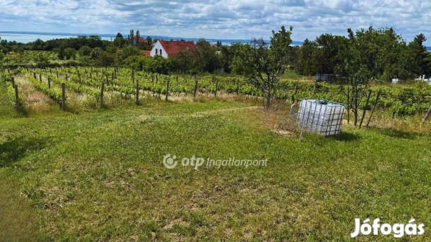 Felsőörsi eladó 2419 nm-es telek