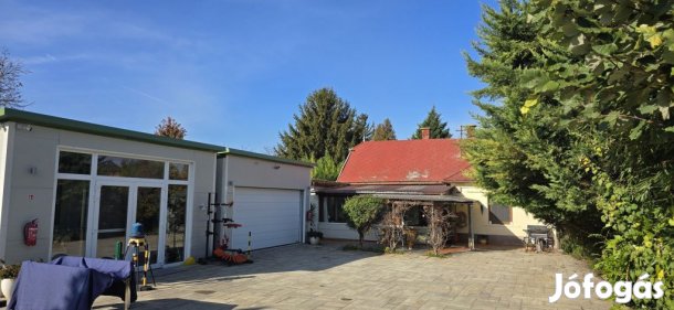 Felsőpakony, Rákóczi utca, 883 m2-es, egyéb üzlethelyiség, kiváló