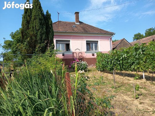 Felsőszenterzsébeti eladó tégla családi ház