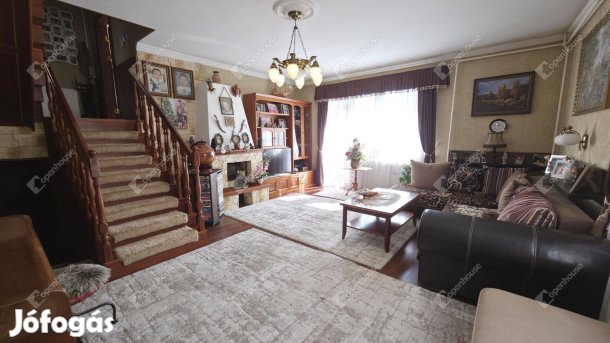 Felsőzsolcán 6 szobás nívós családi ház gyönyörű kerttel eladó