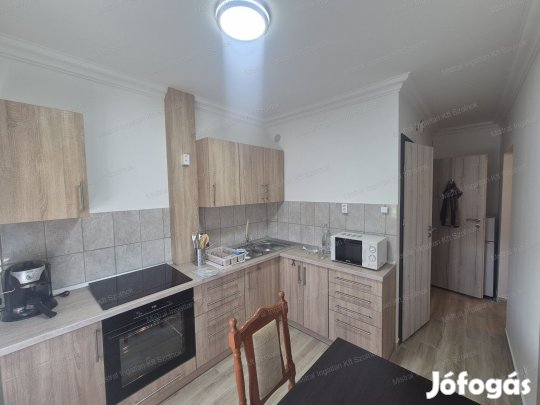 Felújíitott 35 nm-es, garzon lakás Kiadó!