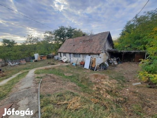 Felújítandó ház, Sülysáp