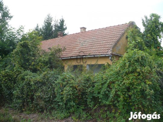 Felújítandó kis ház, aszfaltozott utcában