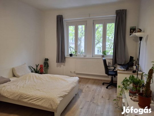 Felújított Lakás A Mester Utcában!