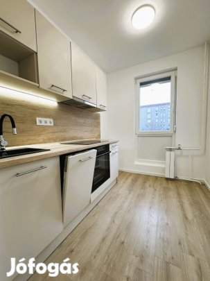 Felújított, azonnal költözhető 40 m-es lakás Kertvárosban.