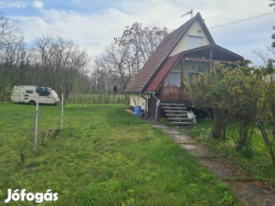 Felújított családi ház Szalkszentmártonban - 23,9