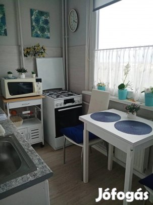 Felújított lakás a város szívében 