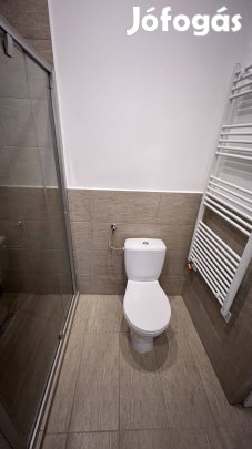 Felújított parasztház Sajóbábonyban