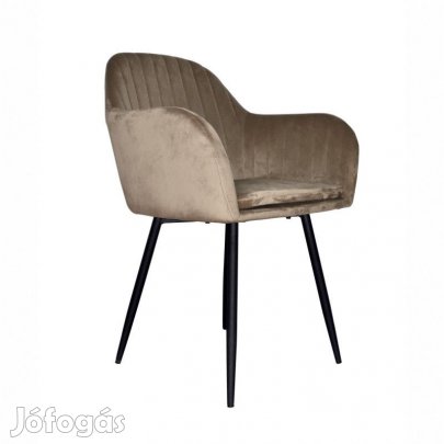 Fémvázas étkezőfotel T16062