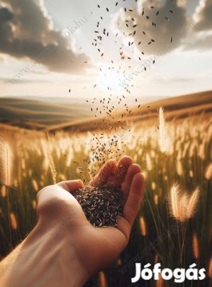 Fémzárolt legelő fűmagkeverék, 5 komponensű, eladó postai utánvéttel