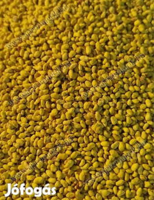 Fémzárolt lucernamag, olasz Ezzelina fajta eladó postai utánvéttel