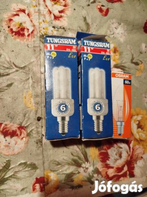 Fénycsövek és villanykörte 
