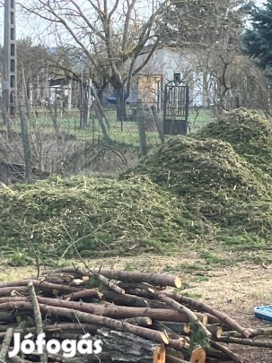 Fenyőmulcs frissen darált 10-15 cbm