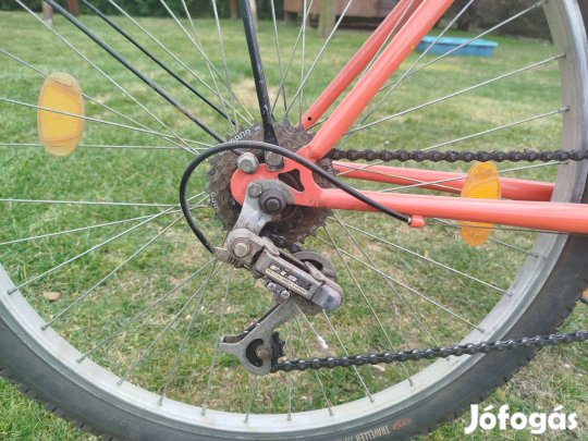 Férfi és női kerékpár