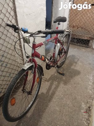 Férfi kerékpár eladó