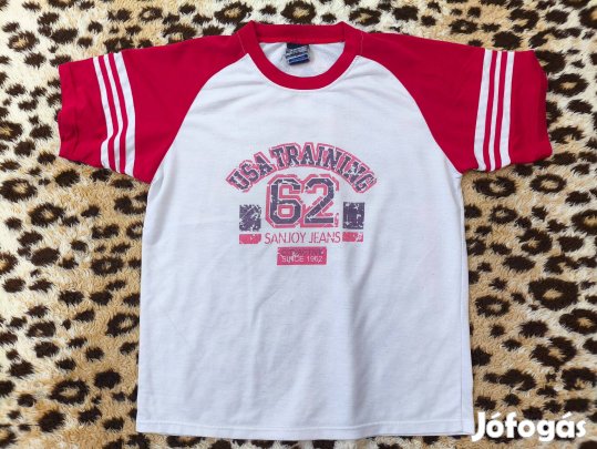 Férfi pólók L-XL-ig