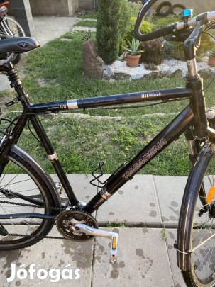 Férfi trekking kerékpár eladó