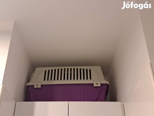 Ferplast teljesen új lila box eladó havanese méretű