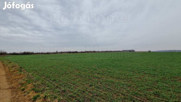 Fertőszéplakon szántó eladó